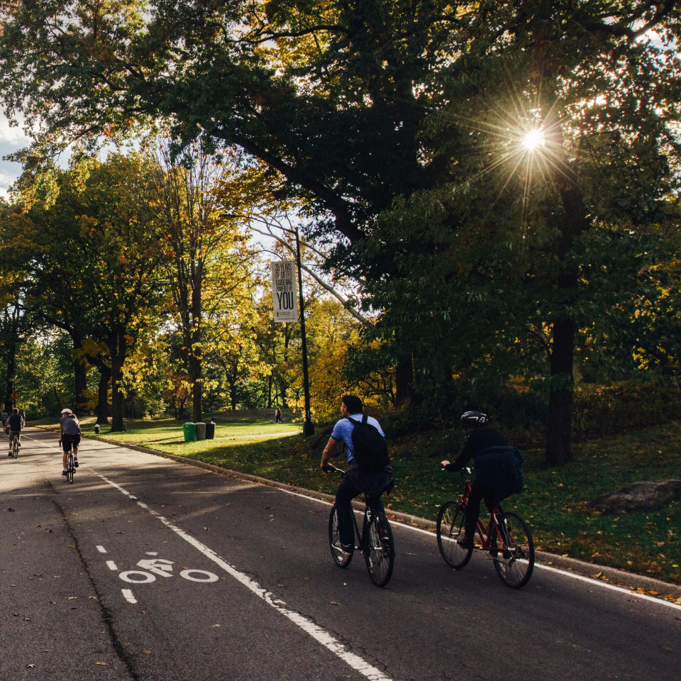 UrbanTree - Ecosystem Services